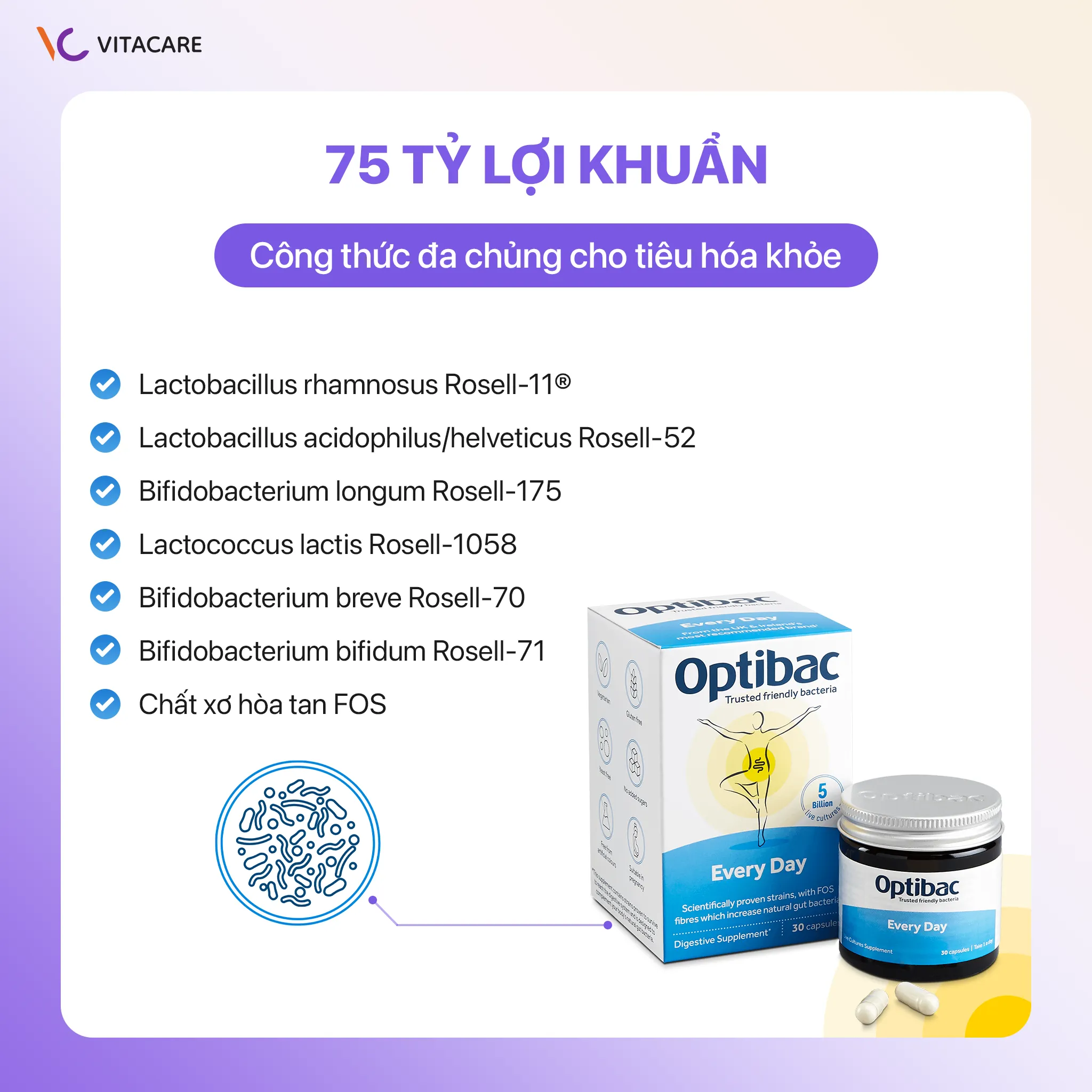 Thành phần Optibac Every Day  Men vi sinh Optibac Every Day chứa 75 tỷ lợi khuẩn đa chủng và chất xơ FOS hỗ trợ tiêu hóa