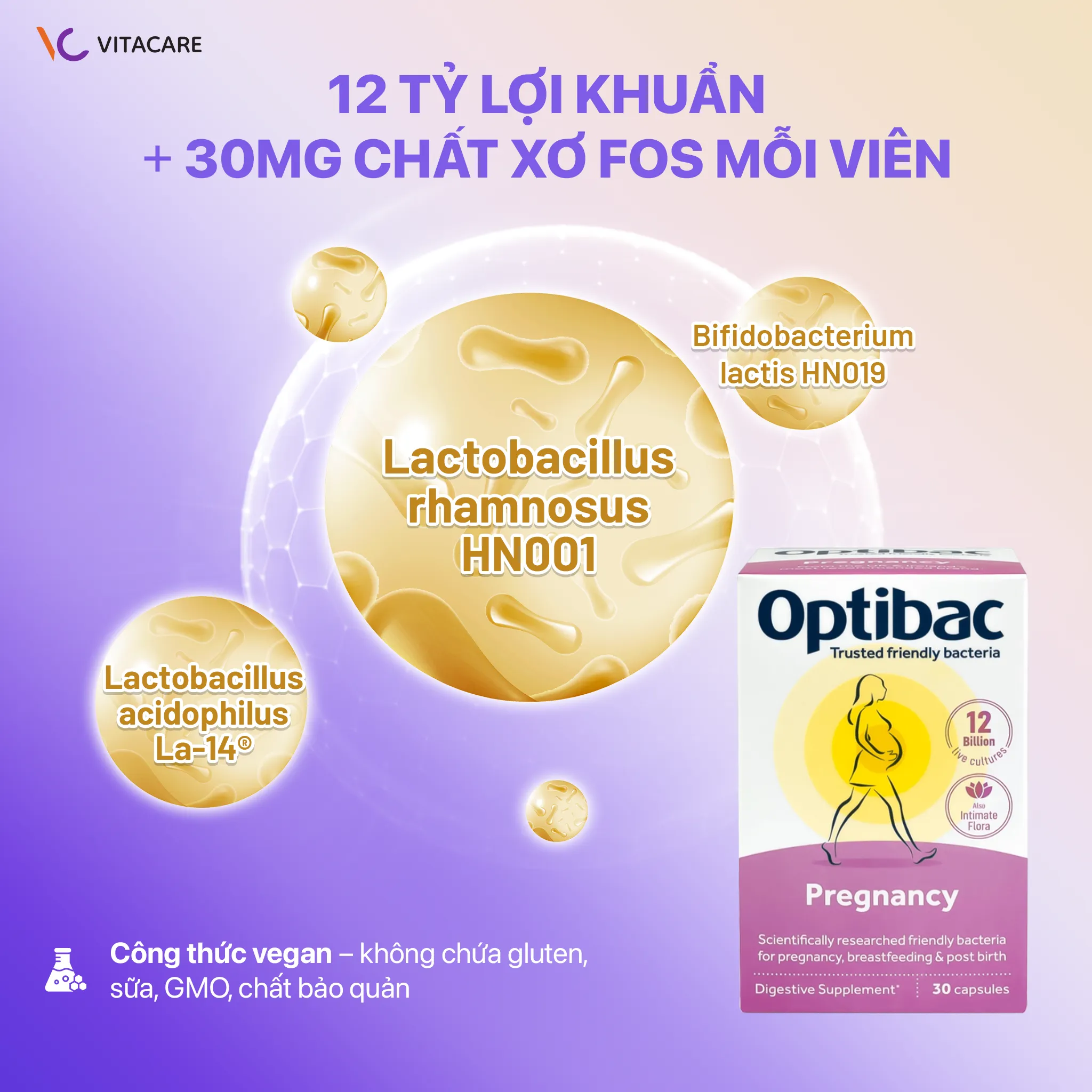 Thành phần Optibac For Pregnancy Men vi sinh Optibac For Pregnancy chứa 12 tỷ lợi khuẩn và 30mg FOS giúp mẹ bầu khỏe mạnh
