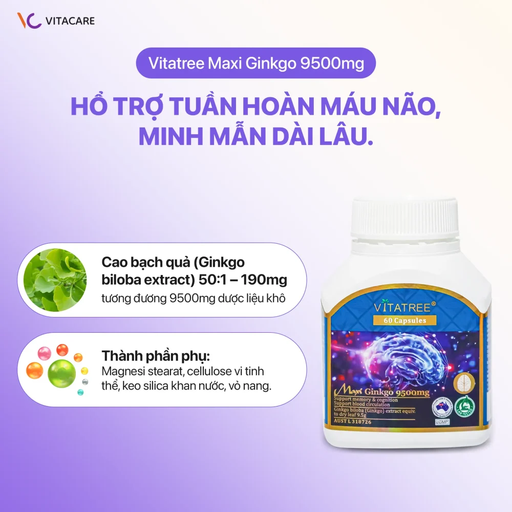 Vitatree Maxi Ginkgo 9500mg với thành phần chính cao bạch quả và tá dược phụ.