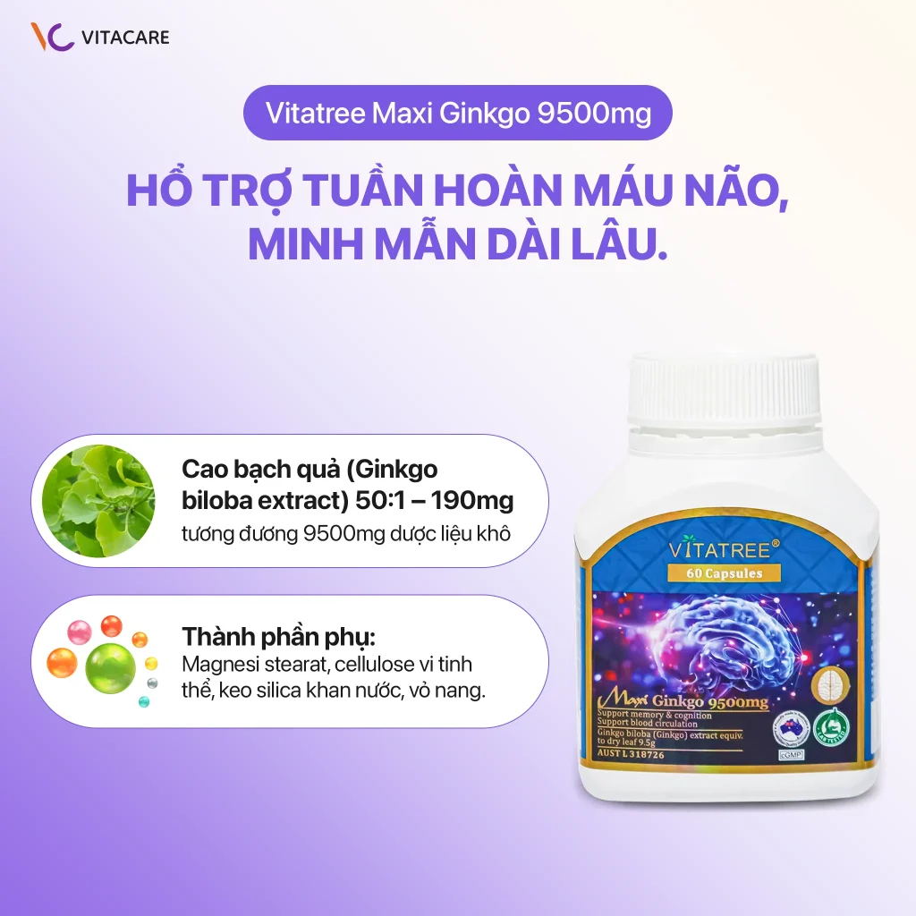 Thành phần Vitatree Maxi Ginkgo 9500mg Vitatree Maxi Ginkgo 9500mg với thành phần chính cao bạch quả và tá dược phụ.