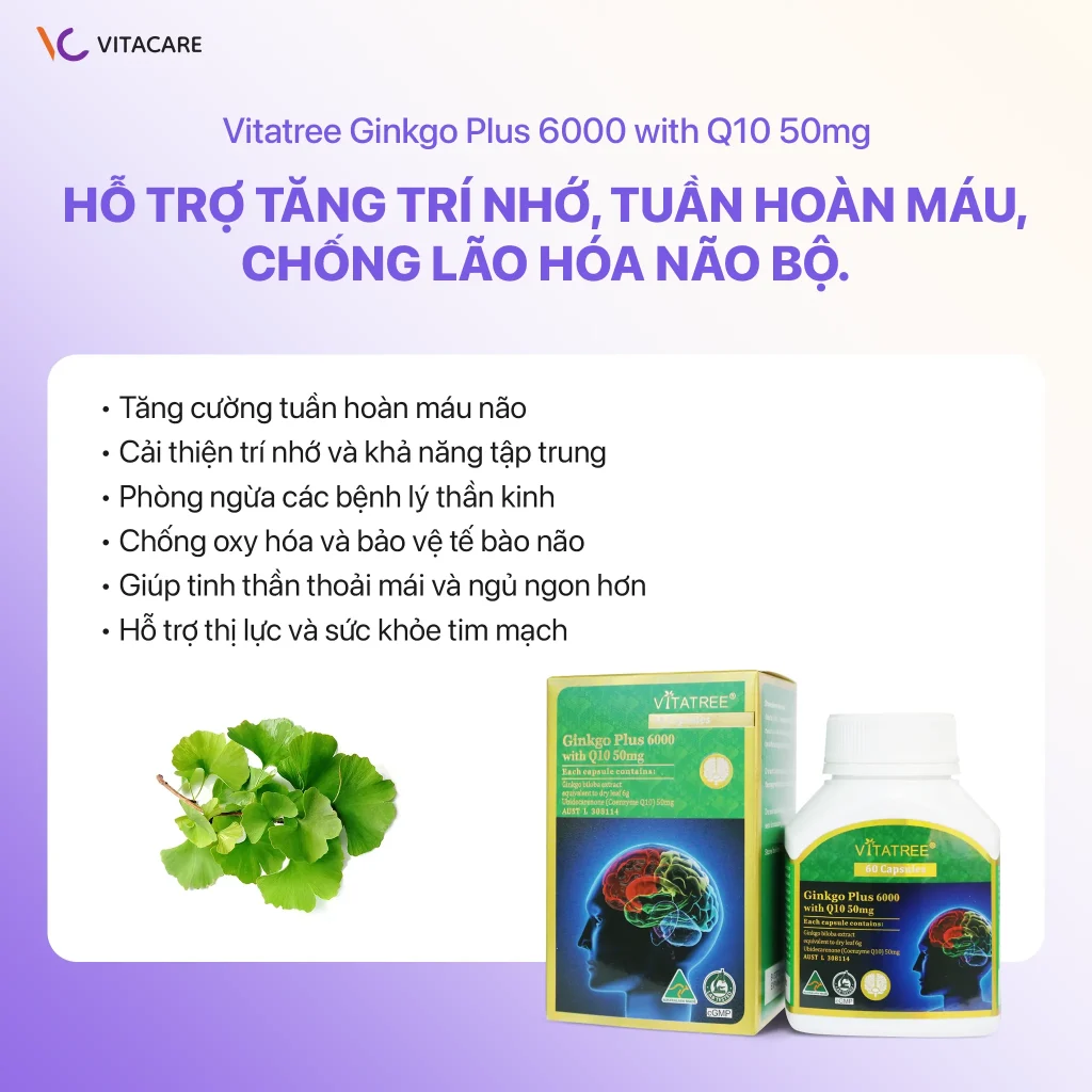 công dụng viên uống Vitatree Ginkgo Plus 6000 with Q10 hỗ trợ trí nhớ và chống oxy hóa
