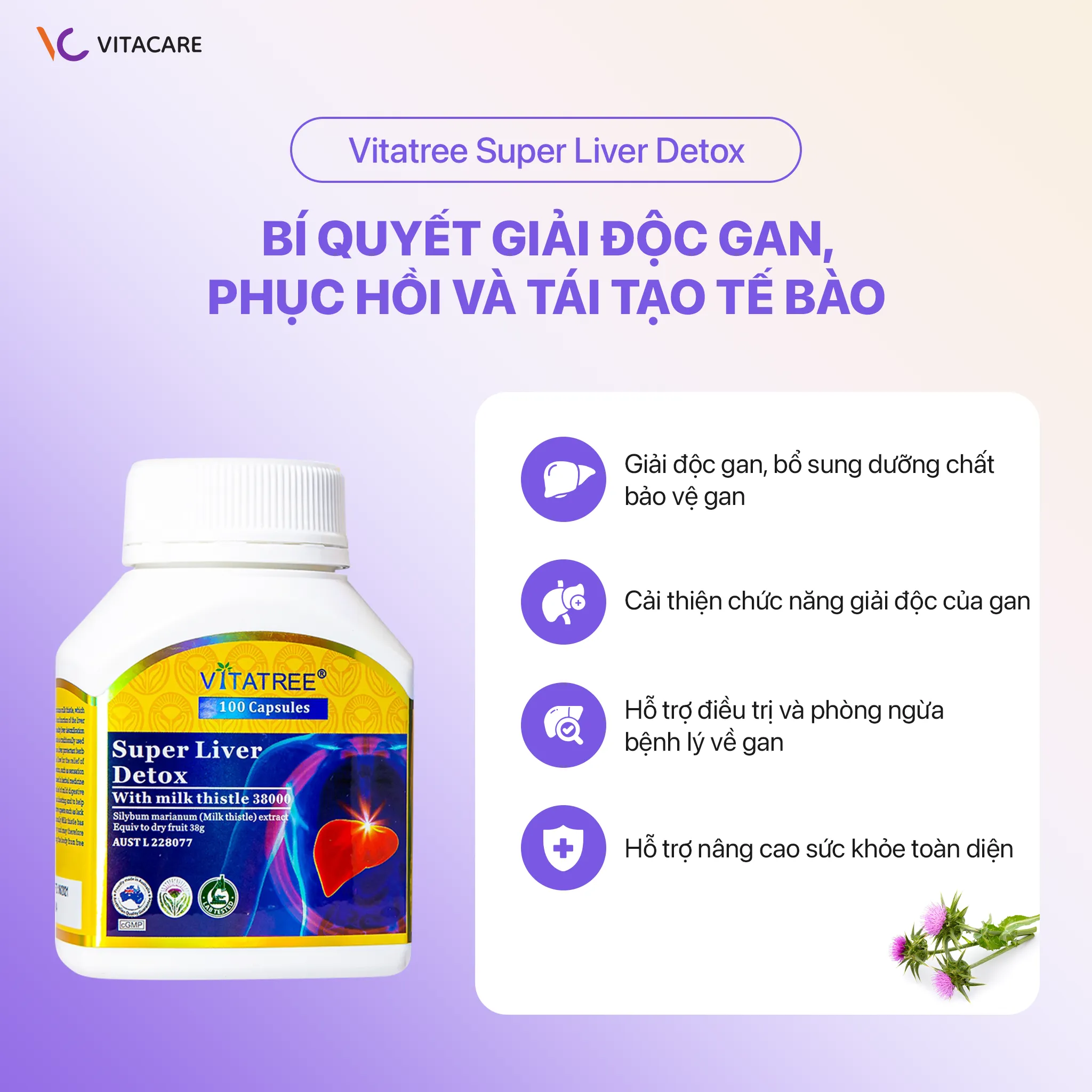 Hình ảnh Vitatree Super Liver Detox với các công dụng chính: giải độc gan, bảo vệ gan, cải thiện chức năng gan
