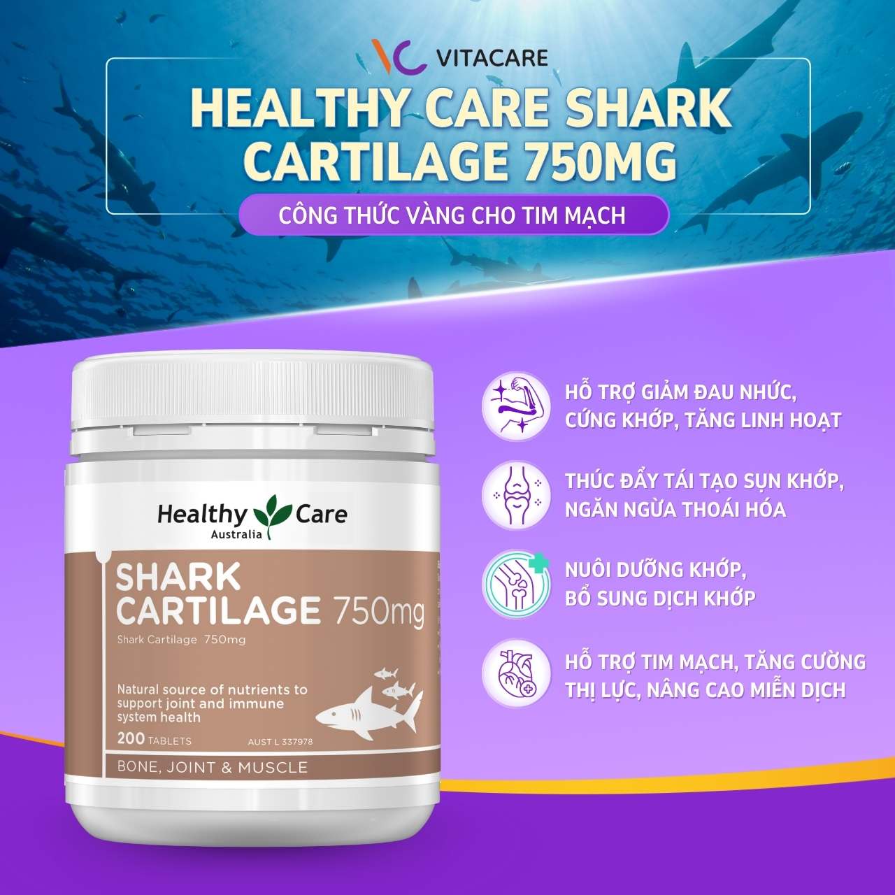 Công dụng Healthy Care Shark Cartilage Viên sụn vi cá mập Healthy Care hỗ trợ giảm đau nhức, tăng linh hoạt và tái tạo sụn khớp
