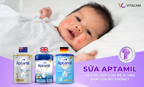 Sữa aptamil cho bé dị ứng đạm sữa bò