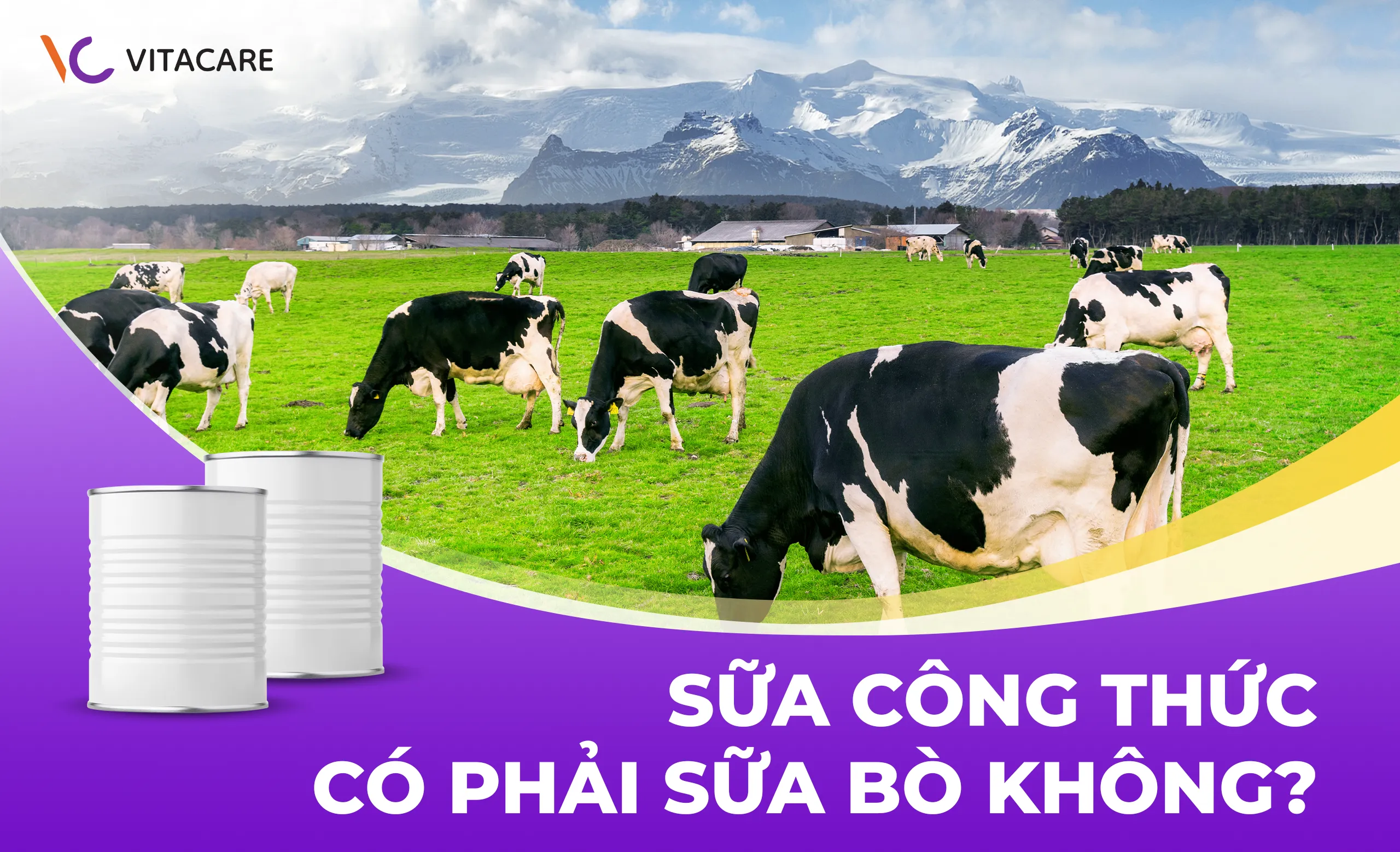 Sữa công thức có phải sữa bò không