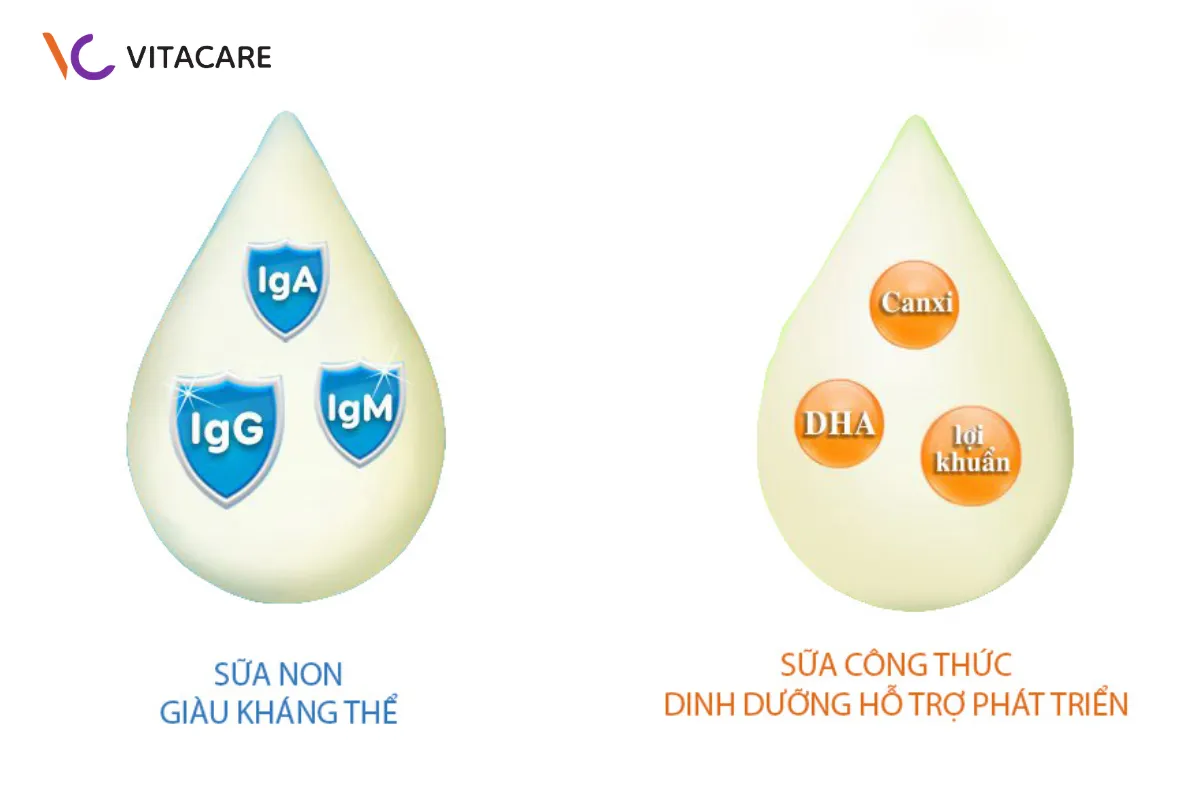 Có nên kết hợp sữa non và sữa công thức không? Có nên kết hợp sữa non và sữa công thức không?