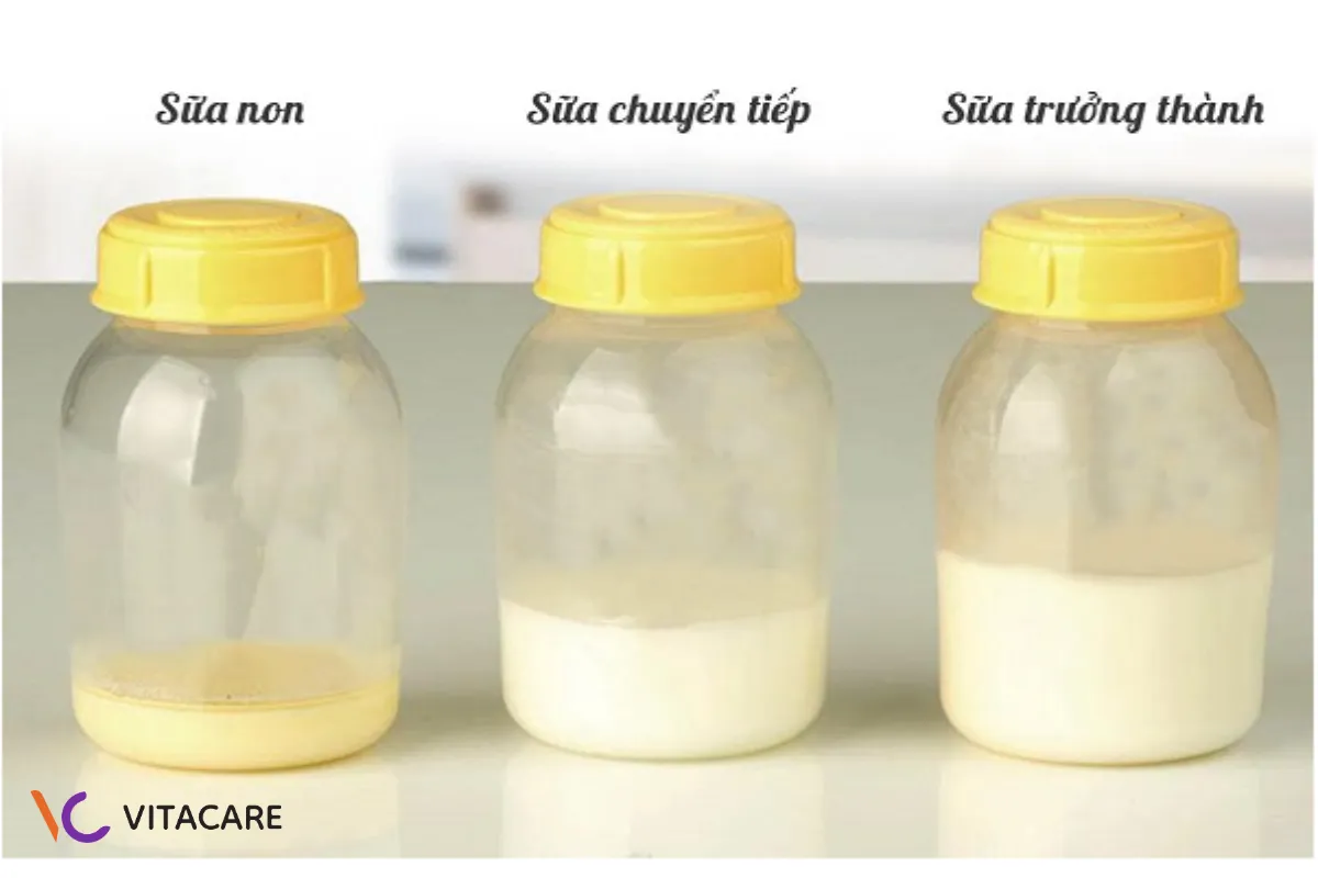 Sữa mẹ vẫn là nguồn dinh dưỡng vàng cho trẻ sơ sinh và trẻ nhỏ Sữa mẹ vẫn là nguồn dinh dưỡng vàng cho trẻ sơ sinh và trẻ nhỏ