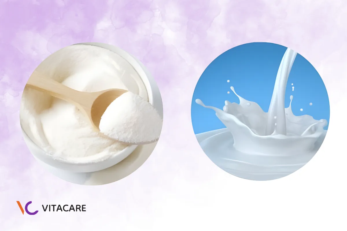 Sự khác biệt giữa sữa bột và sữa pha sẵn về dinh dưỡng, khả năng hấp thu Sự khác biệt giữa sữa bột và sữa pha sẵn về dinh dưỡng, khả năng hấp thu