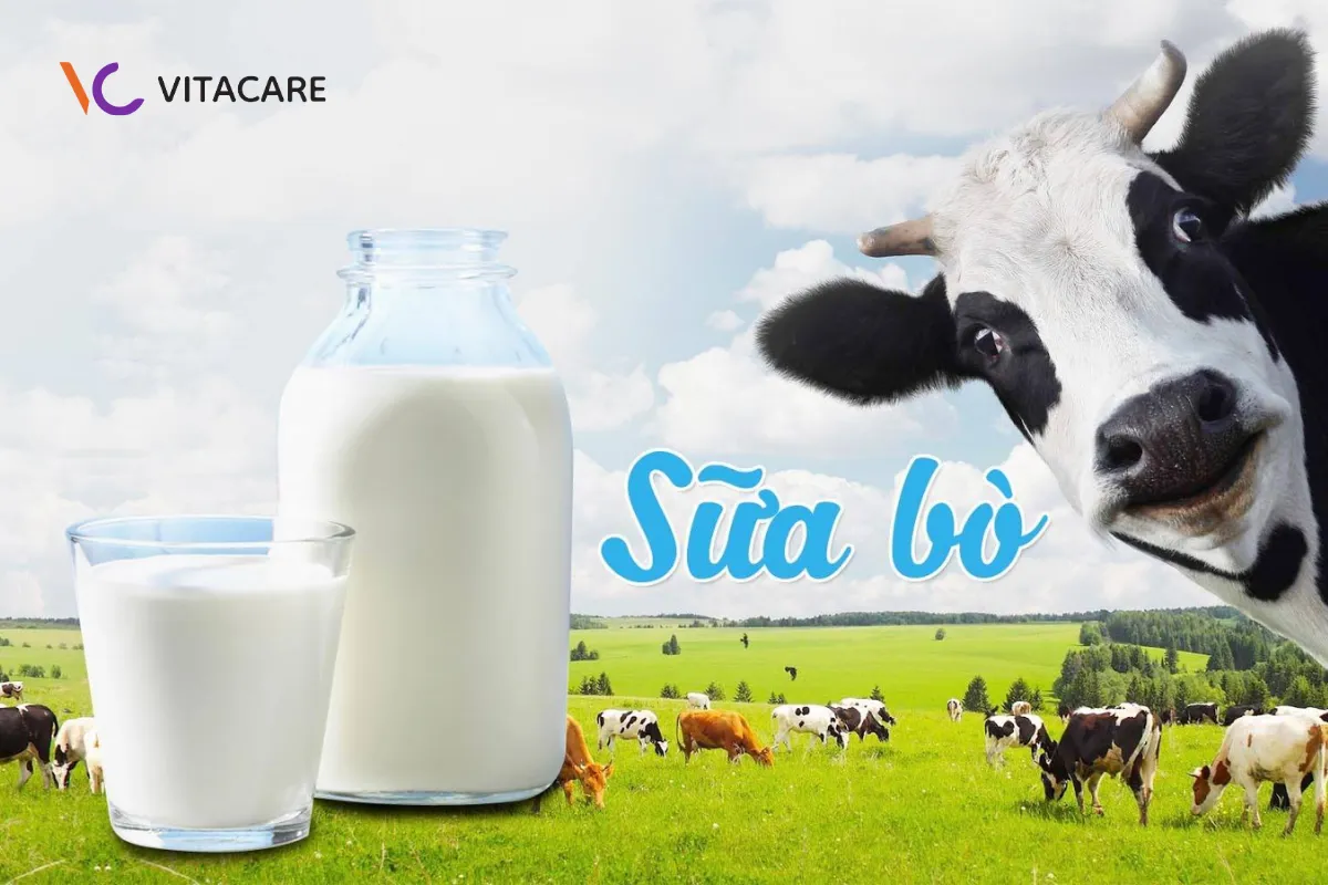 Lưu ý khi dùng sữa công thức làm từ sữa bò cho trẻ dị ứng đạm bò Lưu ý khi dùng sữa công thức làm từ sữa bò cho trẻ dị ứng đạm bò