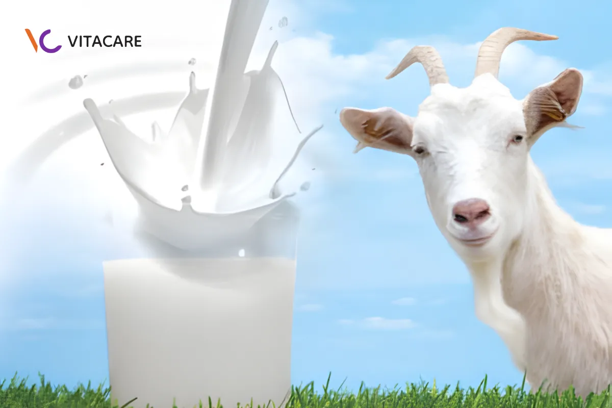 Sữa công thức dê cho bé