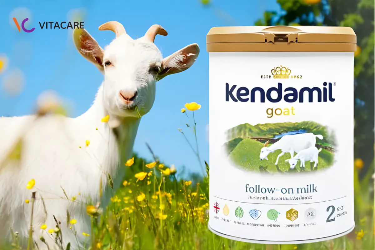 Sữa dê Kendamil Goat nguyên kem MFGM an toàn cho bé Sữa dê Kendamil Goat nguyên kem MFGM an toàn cho bé
