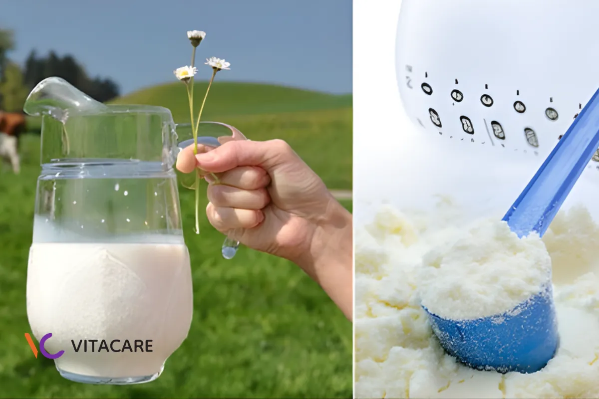 Sữa tươi và sữa công thức đều giàu dinh dưỡng nhưng phù hợp từng giai đoạn phát triển của trẻ Sữa tươi và sữa công thức đều giàu dinh dưỡng nhưng phù hợp từng giai đoạn phát triển của trẻ