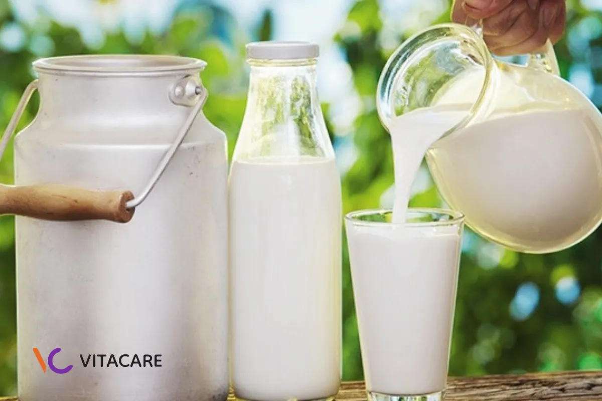 Sữa tươi là gì? Sữa tươi là gì?