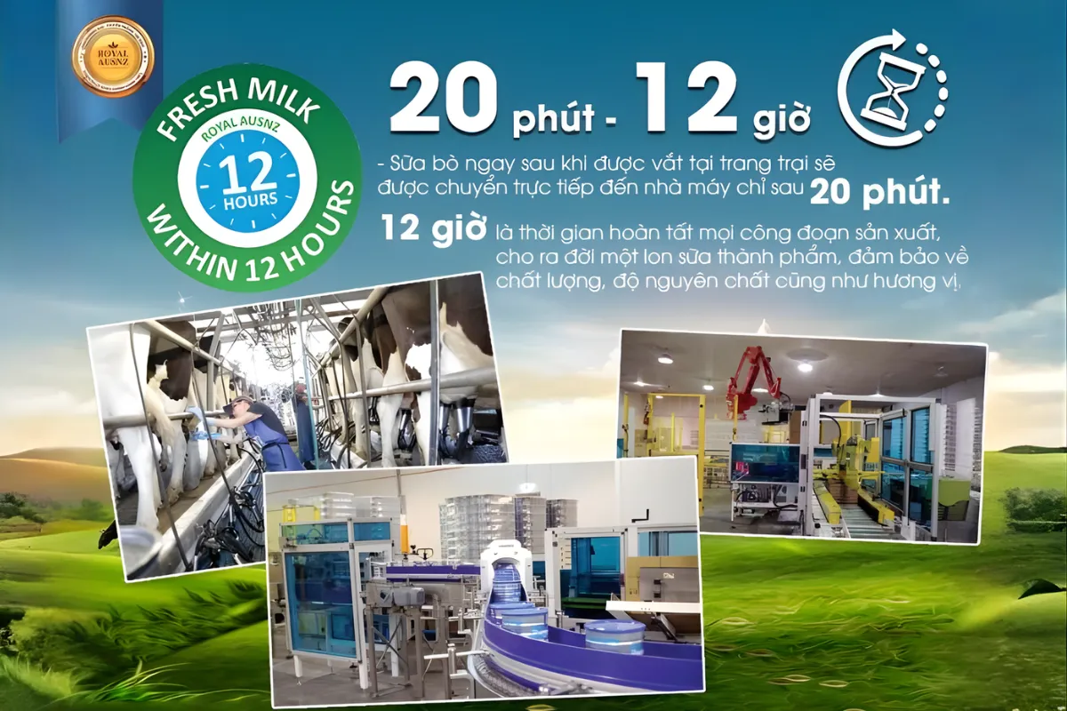 Công nghệ sản xuất hiện đại, quy trình đạt chuẩn châu Âu Công nghệ sản xuất hiện đại, quy trình đạt chuẩn châu Âu