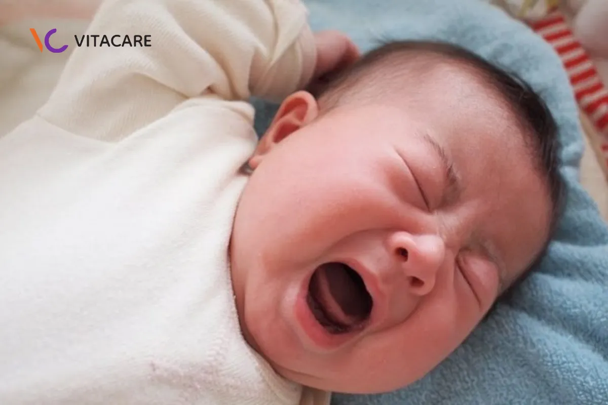 Uống thêm nước khiến giảm lượng sữa nạp vào, ảnh hưởng tăng trưởng