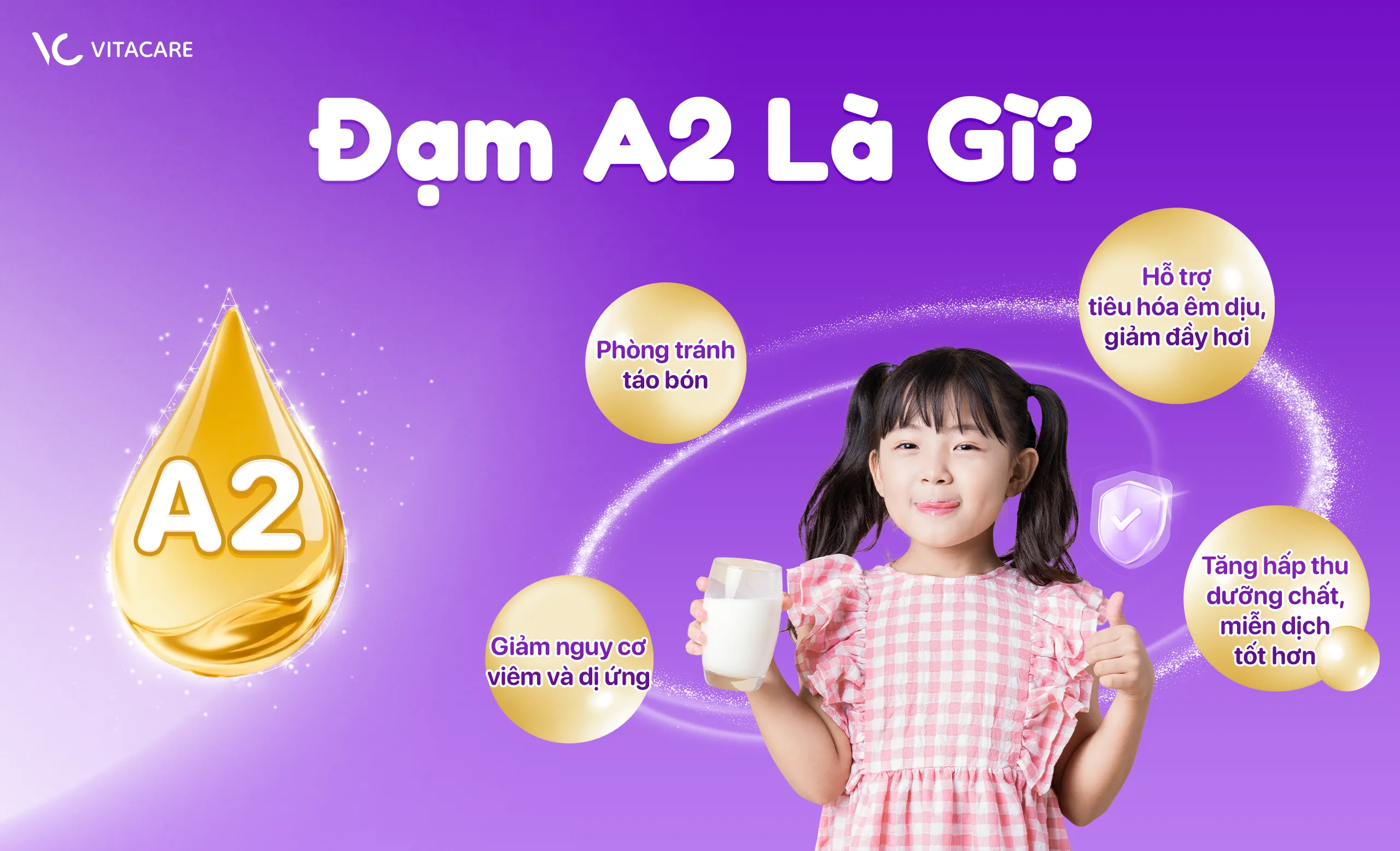 Đạm A2 là gì