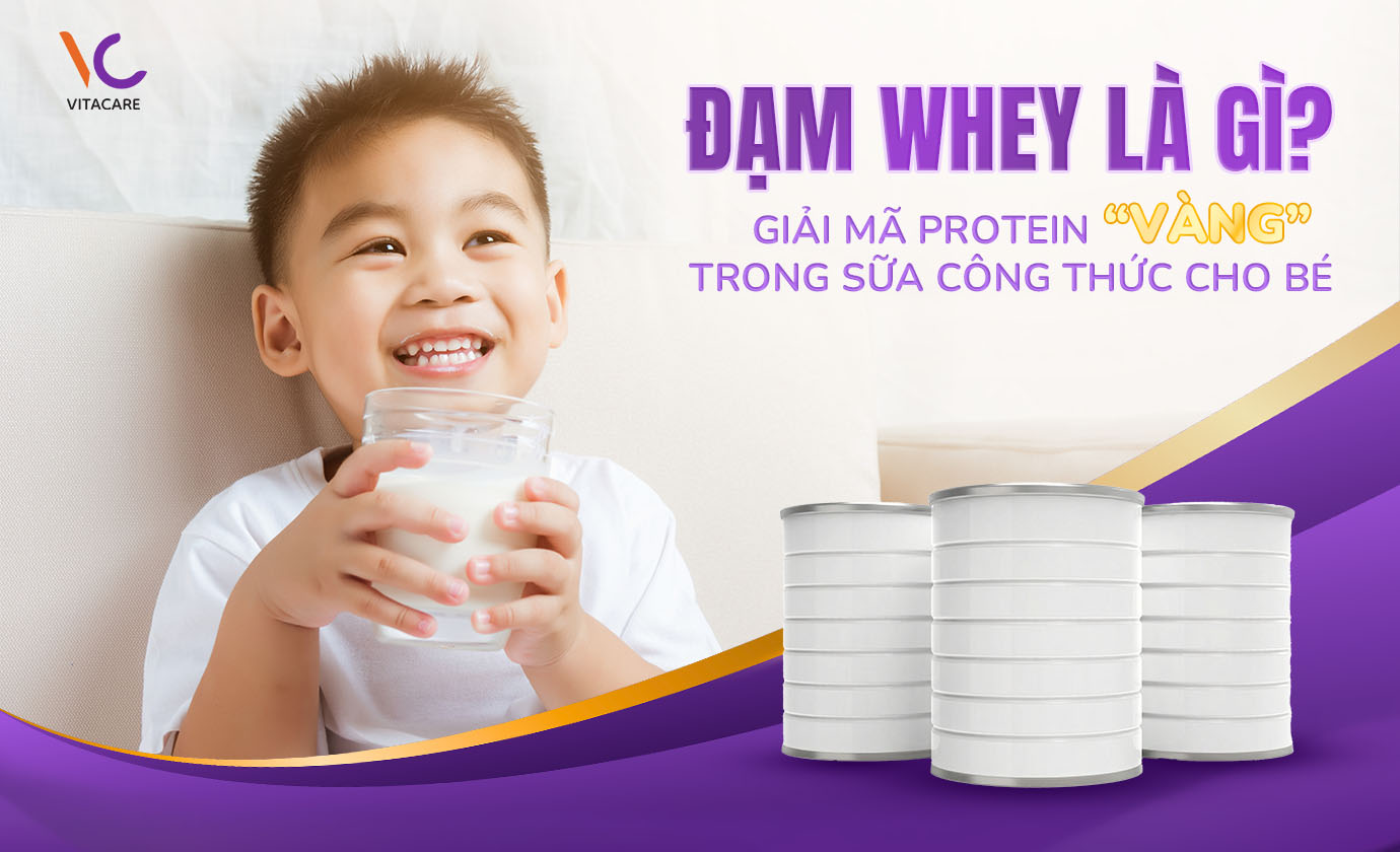 Đạm Whey Là Gì