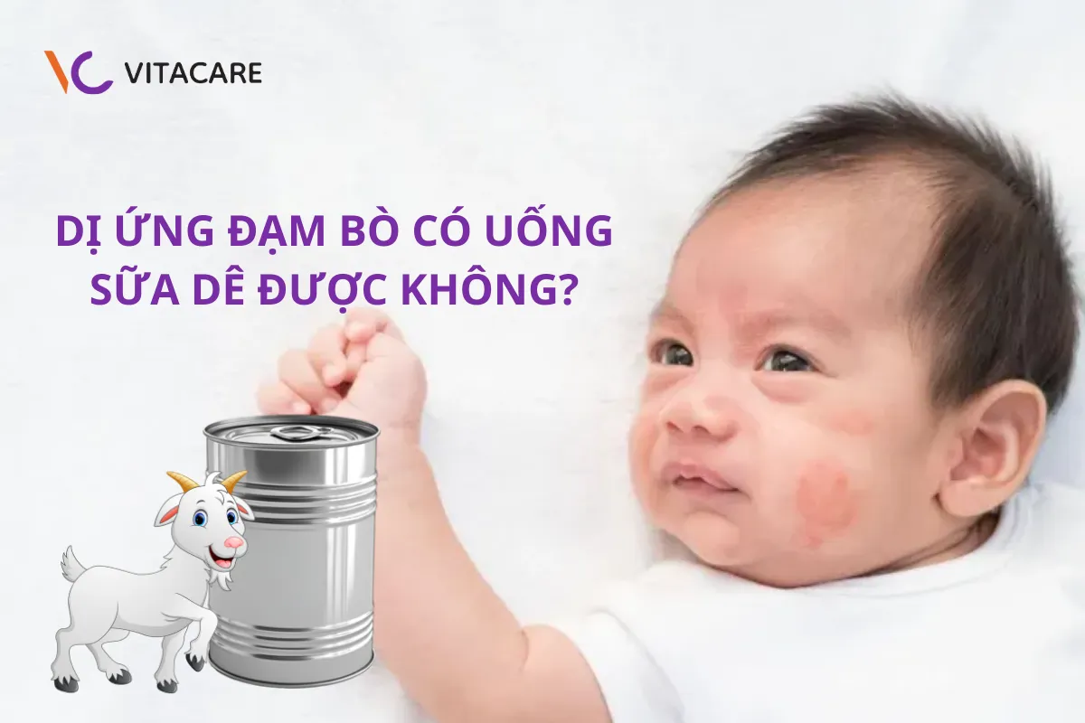 Dị ứng đạm bò có uống sữa dê được không
