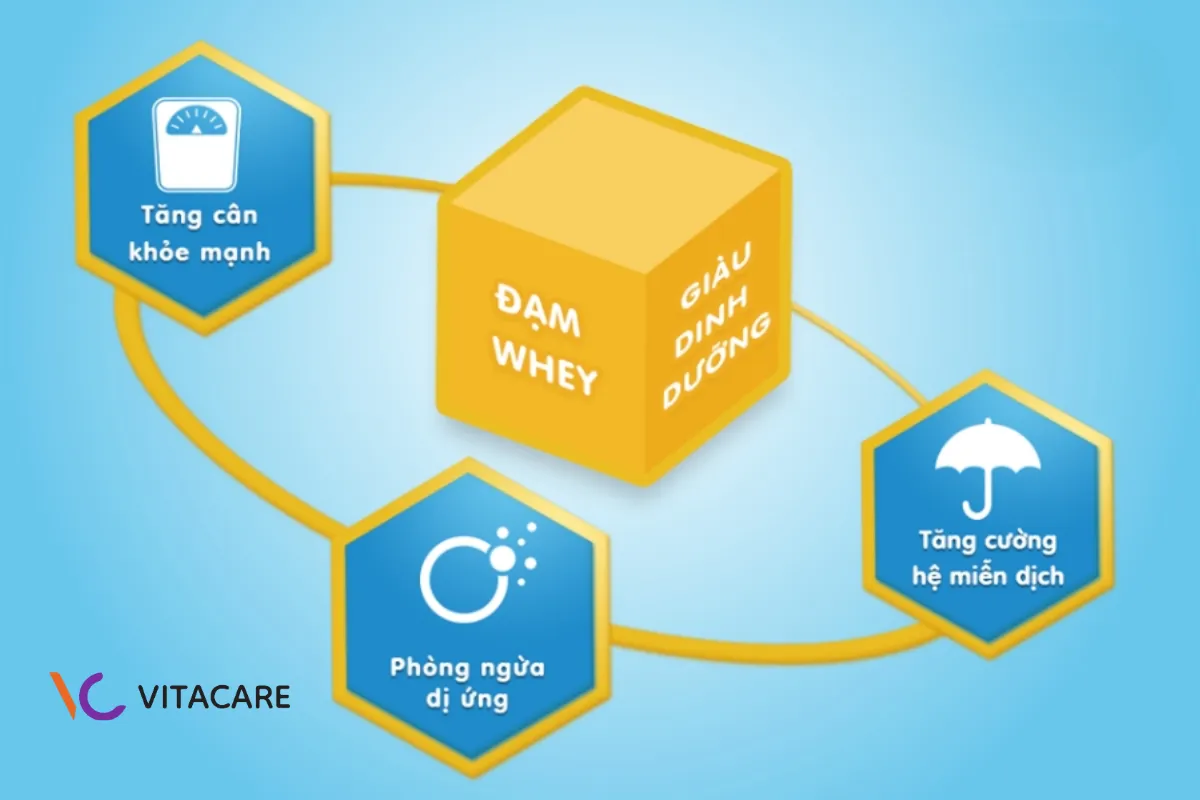 Đạm whey hỗ trợ tăng cân, tăng cường miễn dịch và giảm nguy cơ dị ứng