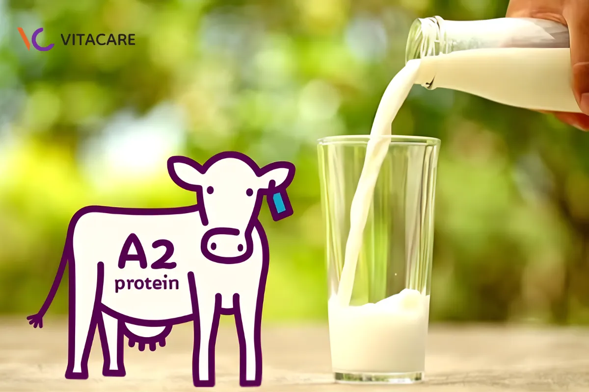Sữa đạm A2 là gì?