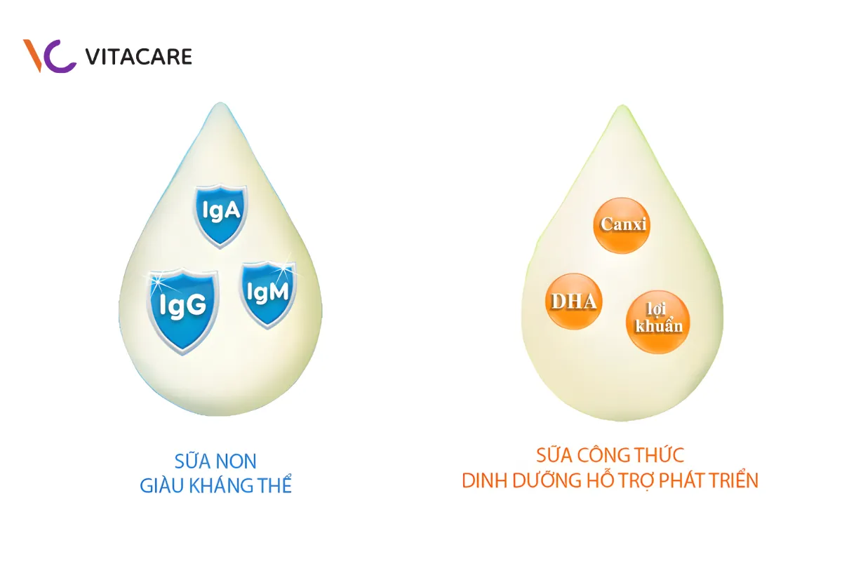Sữa non công thức là gì?