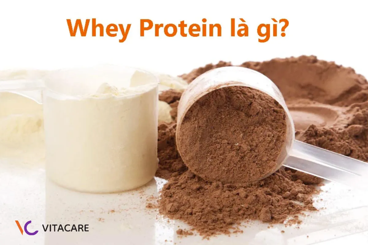 Đạm whey là gì?