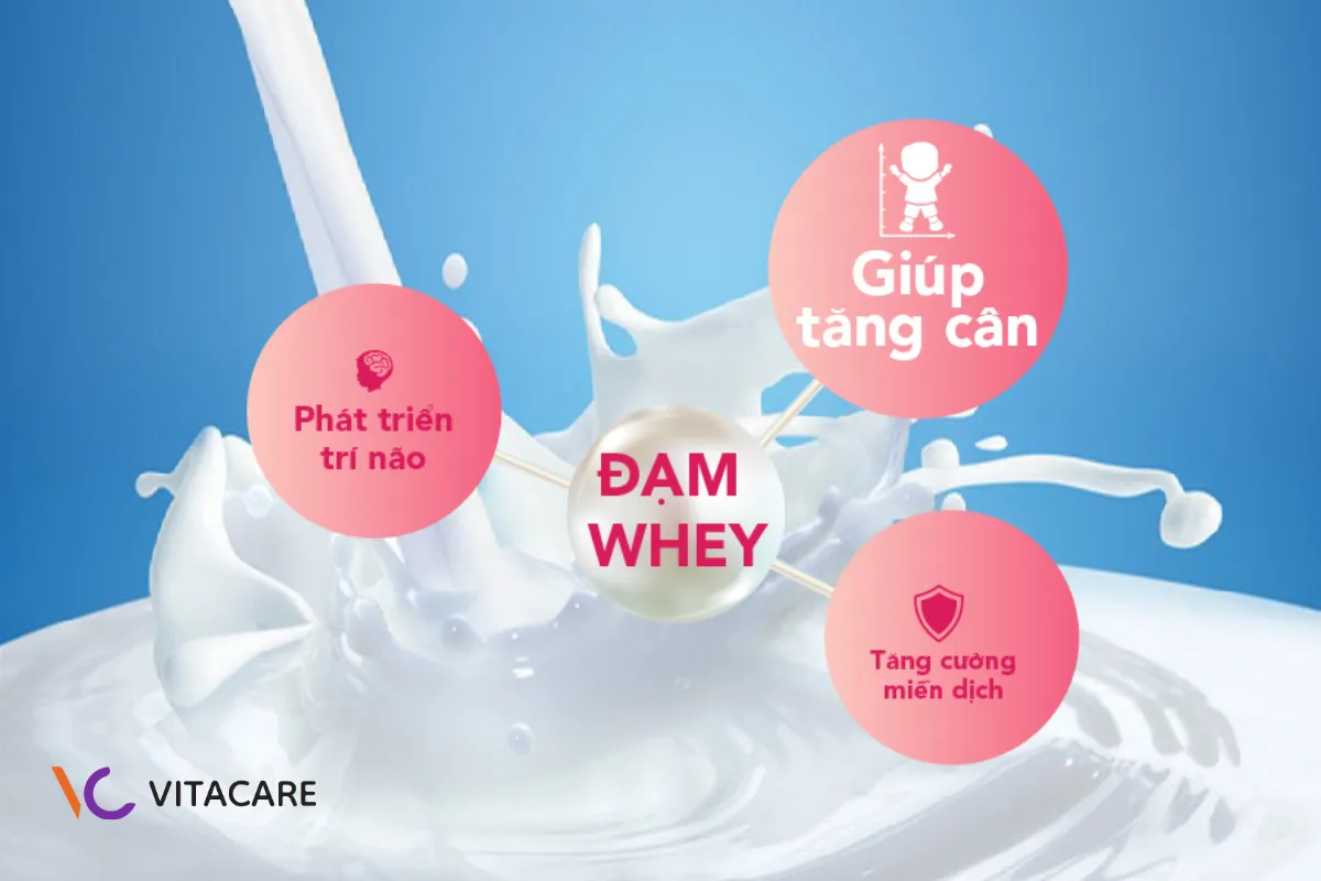 Vai trò của đạm whey trong sữa công thức cho trẻ